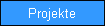 Projekte